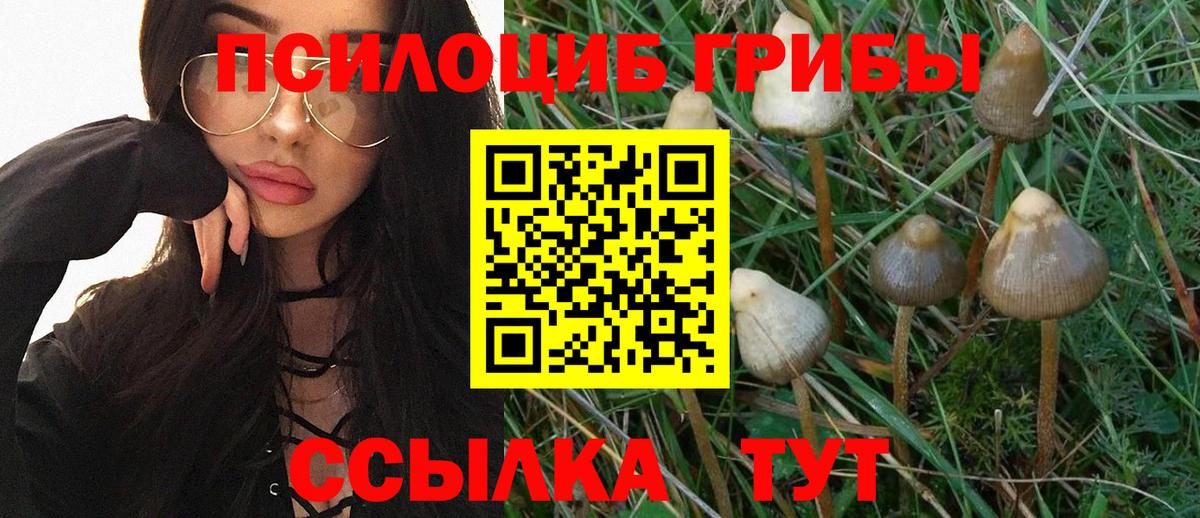 Псилоцибиновые грибы Magic Shrooms  Вход с VPN  Бийск 