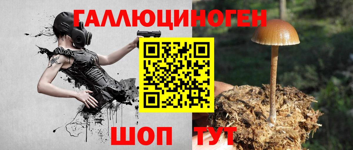 Псилоцибиновые грибы MAGIC MUSHROOMS Бийск